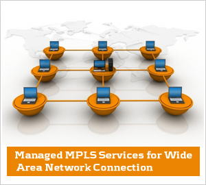 Managed MPLS Services for Wide Area Network Connection