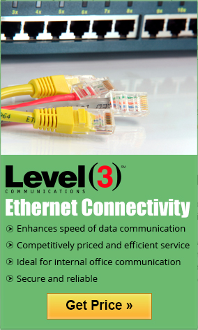 Level3 Ethernet is secure and reliable internet that enhances the speed of data communication.